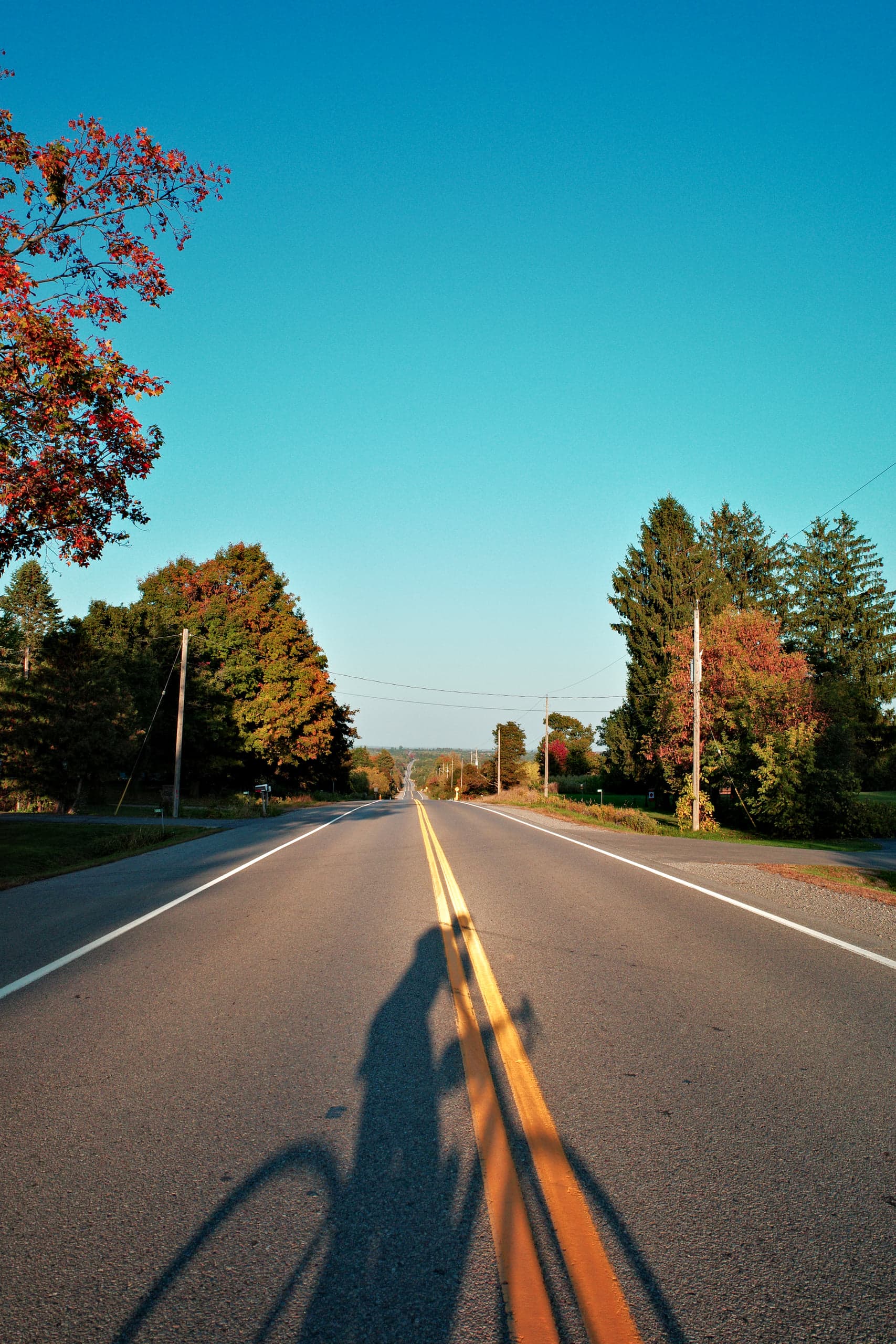 An open country road running to the horizon in low golden light, the long shadow of a cyclist across the double-yellow centre line, autumn trees on either side